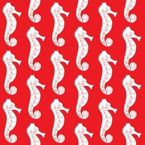 seahorses on red