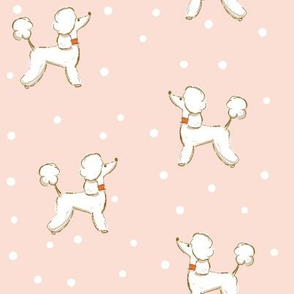 Dogs - Poodle on light pink dotted background