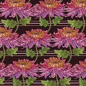 Chrysanthemum Stripes_Maroon