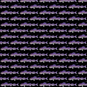 viperfish on black