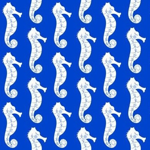 true blue seahorses