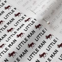 (micro scale) little man || plaid moose on white C19BS