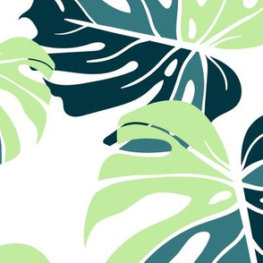 Monstera Leaves Large Scale - Green and White