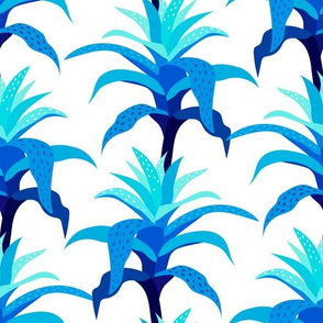 Bromeliads - Blue and White