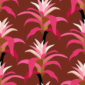 Bromeliad - Pink and Ginger