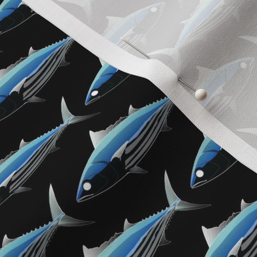 Skipjack Tuna deep water black