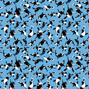 Orcas on Blue