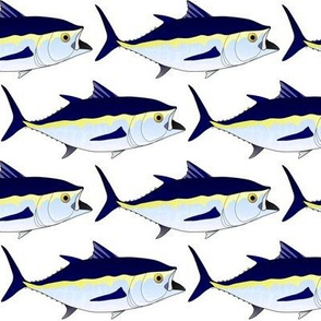 Bluefin  Tuna