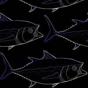 Bluefin Tuna in lines