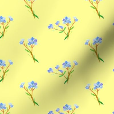 Forget Me Not on Yellow