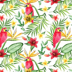Tropical birds and flowers. White pattern