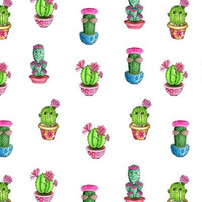 Cute cacti