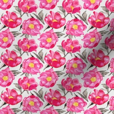 19-10ac Hot pink Spring Peony Gray Floral