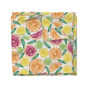 Watercolor Citrus Slices