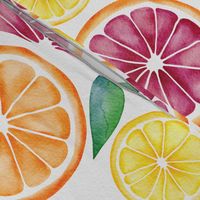 Watercolor Citrus Slices