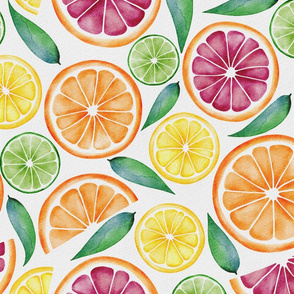 Watercolor Citrus Slices