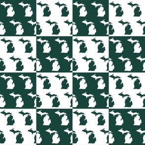 Michigan State Cheater Quilt