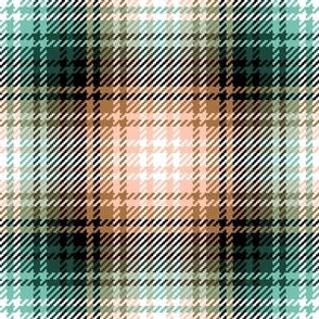 08965622 : tartan : spoonflower0505