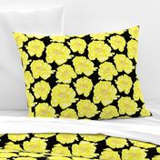 19-09c Jumbo Peony Lemon Yellow Black Floral Flower