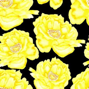 19-09c Jumbo Peony Lemon Yellow Black Floral Flower