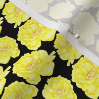 19-09b Small Peony Yellow Watercolor Floral Black