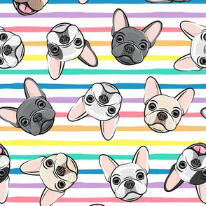 all the frenchies - French bulldog dog breed frenchie - toss on multi stripes rainbow - LAD19