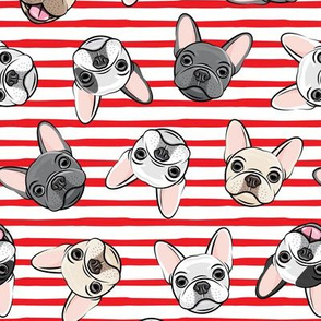 all the frenchies - French bulldog dog breed frenchie - toss on red stripes - LAD19
