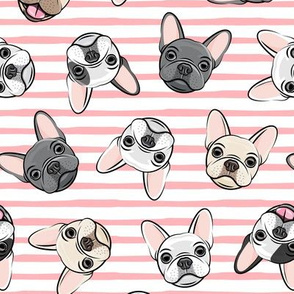 all the frenchies - French bulldog dog breed frenchie - toss on pink stripes - LAD19