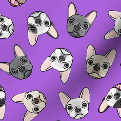 all the frenchies - French bulldog dog breed frenchie - toss on purple - LAD19