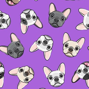 all the frenchies - French bulldog dog breed frenchie - toss on purple - LAD19