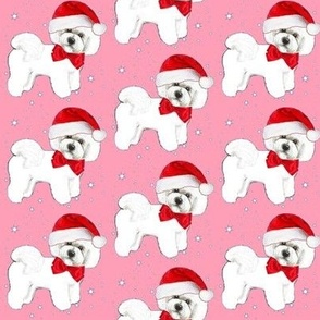 Bichon Frise dog Christmas and santa // Holidays // Christmas