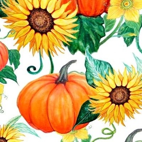 Pumpkins , Sunflowers and moths