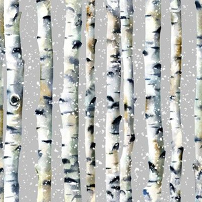  Snowy Birch / Light Grey / Small Scale