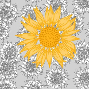 Sunflower study yellow on grey