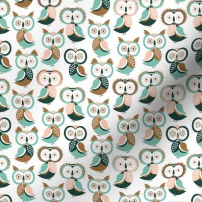 Owls, owls