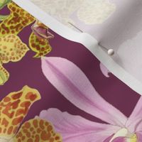 Botanist's Orchids on Merlot 150