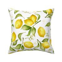 Lemon Blossoms, Medium