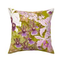 Botanist's Orchids II on Olive 150