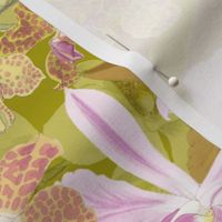 Botanist's Orchids II on Olive 150