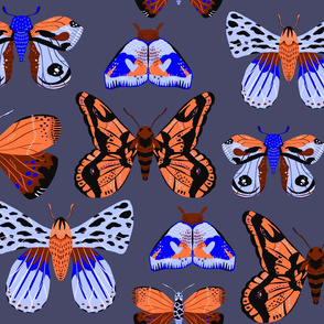 Pretty Moths -  Larger Scale Blue and Orange on Dusty Blue background