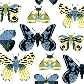 Pretty Moths -  Larger Scale Blue and  Yellow on White background