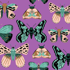 Pretty Moths -  Larger Scale on Purple background