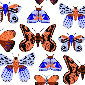 Pretty Moths -  Smaller Scale Orange and Blue on White background