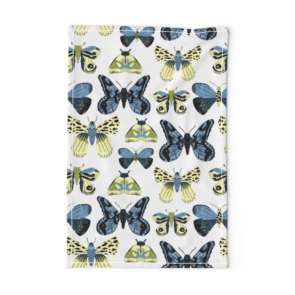 Pretty Moths -  Smaller Scale Blue and Yellow on White background