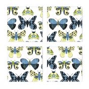 Pretty Moths -  Smaller Scale Blue and Yellow on White background