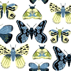 Pretty Moths -  Smaller Scale Blue and Yellow on White background