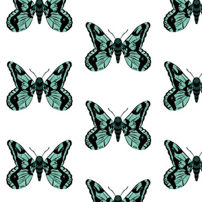 Spearmint Green and Black Moth