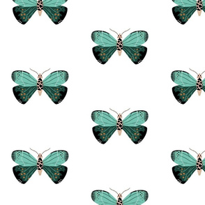 Forest and Spearmint Moth