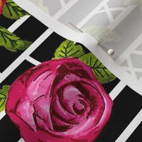 Multicolored Rose Contempo  -Lattice Illusion  - Black & White    