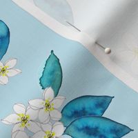 Lemons in watercolor with  sky blue from Anines Atelier. Use the design for kitchen walls and interior